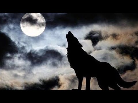 Видео: Батай батыр.14-16 тарау. Түрмеден қашу.