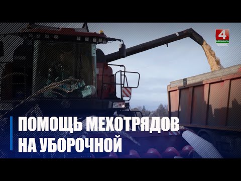 Видео: Первый агросезон на полях, мехдворах и фермах Гомельщины работают межрайонные мехотряды