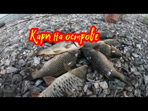 Видео: Лучшая рыбалка в моей жизни на диком острове. Ловил карпа ночью на Шалкаре.