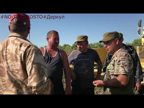 Видео: Уборка подсолнечника 2019. День первый. Хроника.