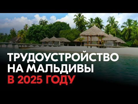 Видео: Прямой эфир: Трудоустройство на Мальдивах в 2025 году — всё, что нужно знать