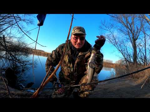Видео: Ноябрьская красноперка на Смеринке