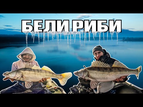 Видео: БЕЛИ РИБИ в ДОЛИНАТА на ЦАРЕТЕ ! Епопея на "ЗАБРАВЕНИТЕ"