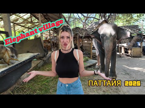 Видео: Деревня Слонов | Elephant Village | Паттайя 2025