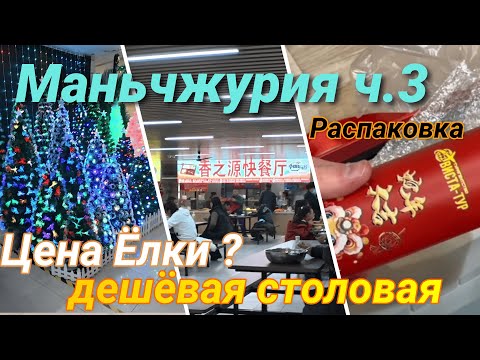 Видео: Маньчжурия, Ёлочный базар, новогодние костюмы, Умный унитаз, Распаковка, 25.10.2025