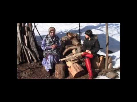 Видео: Сасинка 66