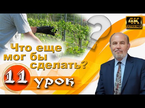 Видео: Урок 11. Что еще Я мог бы сделать?
