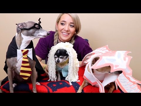 Видео: Гарри Поттер и Дейнерис ! Рождение ДРАКОНА - Дженна Марблс