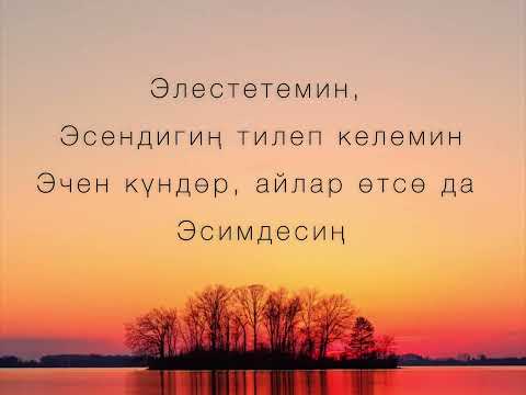 Видео: Бактыгүл Бадыева - Жүрөк тагы (текст)