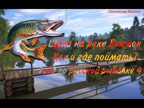 Видео: Щука на реке Вьюнок. Где и как ловить? Русская рыбалка 4.