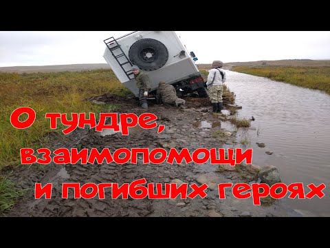 Видео: По дороге к Зубовской губе.