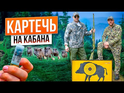 Видео: Картечь на охоте: осыпь, дистанция, пробитие. Картечь или пуля? Как использовать картечь на охоте?