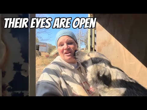 Видео: У нас проблема с землей