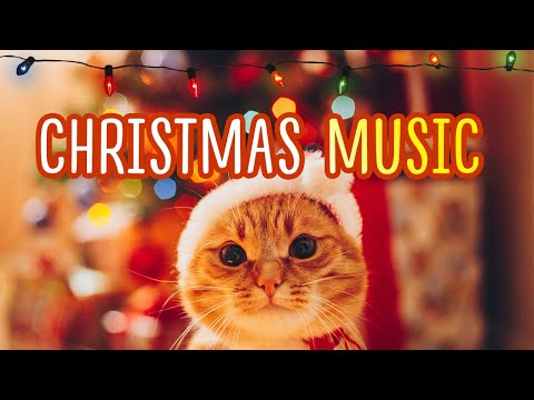 Видео: Небесная рождественская музыка для кошек и их людей 10 часов ♬ Рождественские песни 2022