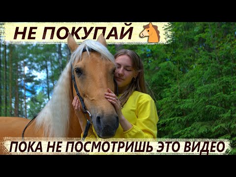 Видео: Что стоит знать, прежде чем КУПИТЬ ЛОШАДЬ