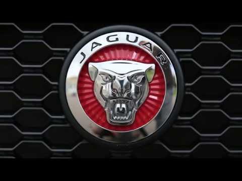 Видео: Jaguar F-PACE - Большой тест-драйв