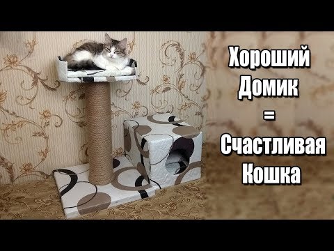 Видео: Как сделать Домик для Кошки (Легко и Дёшево)