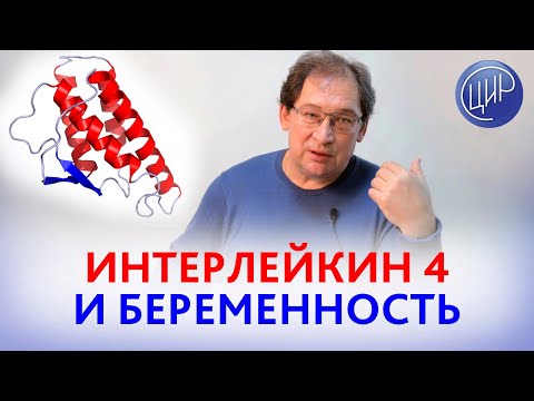 Видео: Интерлейкин 4. Полиморфизмы интерлейкина 4, беременность и склонность к аутоиммунным процессам.