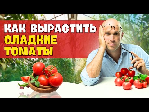 Видео: Как вырастить СЛАДКИЕ ТОМАТЫ. ТРИ ПРОСТЫХ ПРАВИЛА для садоводов!