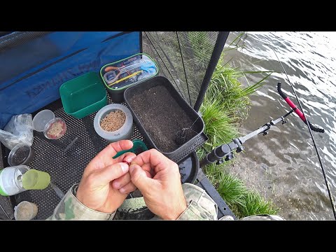 Видео: ОСЕНЬ. ФИДЕР. ТЕТЕРИНО. Рыба активно клюет. Ловля подлещика.