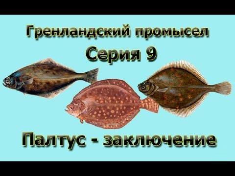 Видео: Русская Рыбалка 3.99 Гренландский промысел 9 - Палтус - Заключение