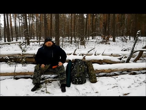 Видео: Поход в лес зимой без палатки. Ночевка. Вой волков, замерз как собака.