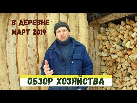 Видео: ОБЗОР ХОЗЯЙСТВА в Деревне: Куры несушки, индюки, перепела и другое МАРТ 2019