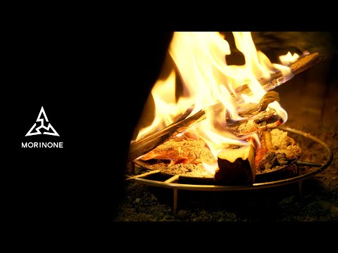 Видео: Осенний лагерь - прогулка по осенним листьям и ночь наблюдения за звездами