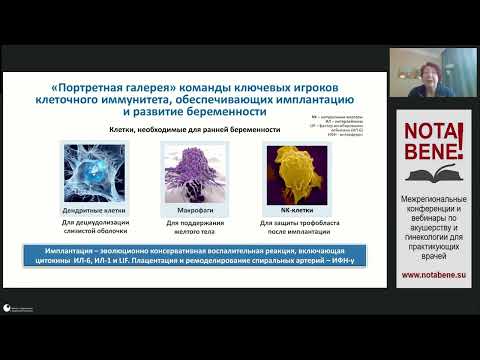 Видео: NOTA BENE! Мастер-класс "Преодоление бесплодия с помощью ЭКО у пациенток с хроническим эндометритом"