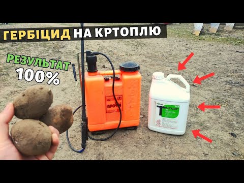 Видео: Ідеальний гербіцид на картоплю. Результат 100%. Яким гербіцидом обробляти картоплю в 2023 році.