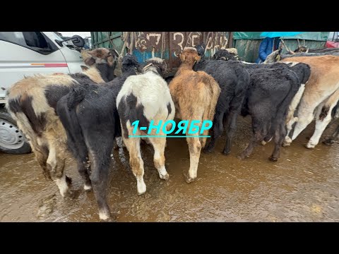 Видео: Торпок базар сокулук мал базары