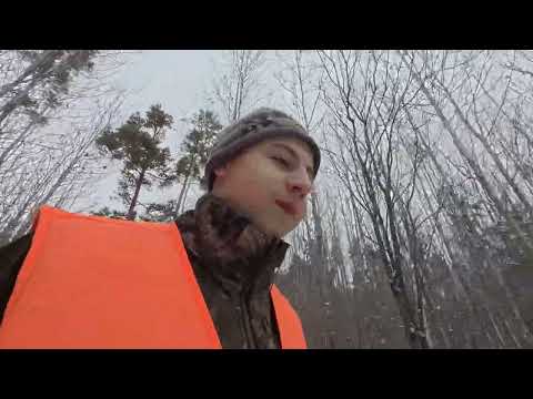 Видео: Охота с собаками Борисенка.А.К 