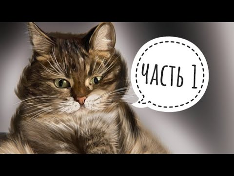 Видео: Рисуем животное в Ibis Paint,стиль реализм