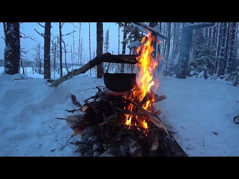 Видео: Рыбалка на лесном озере. Ловим полосатых.