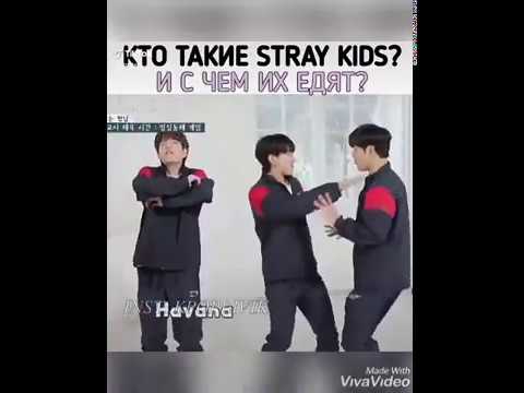 Видео: Смешные моменты с Stray kids #1