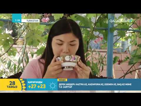 Видео: Ауыл таңы: Бие сауу | Таңшолпан Нышанбай