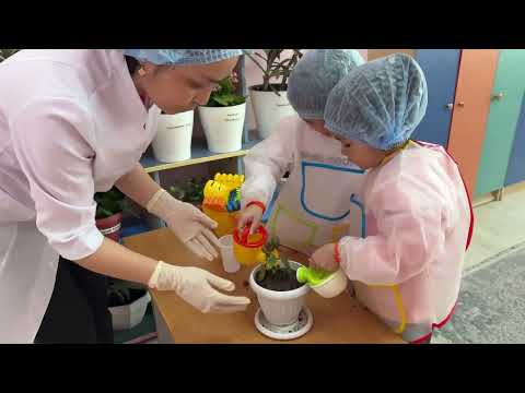 Видео: Тараз қаласы, №30 "Назерке" бөбекжай-бақшасы, "Мен зерттеушімін" байқауы