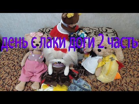 Видео: День с лаки доги 2 часть. 24 часа с лаки доги 2 часть. собираем урожай. Едим на дачу с лаки доги.