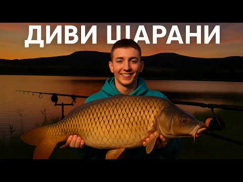 Видео: Риболов на трофейни шарани на яз.Янково.