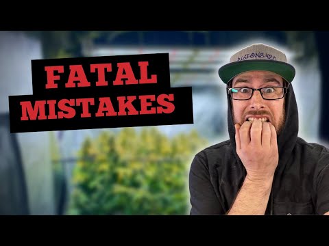 Видео: РАСТУЩИЕ ОШИБКИ, КОТОРЫЕ ДЕЛАЮТ ВСЕ