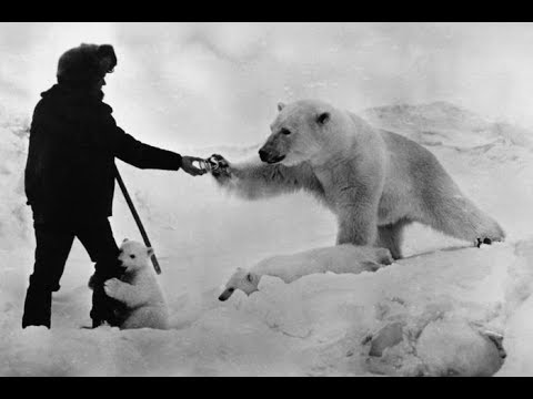 Видео: Не обизай, геолога, холосую целовеку! Владимир Елистратов.