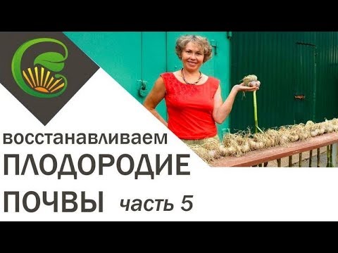 Видео: Как я сделала почву плодородной часть 5