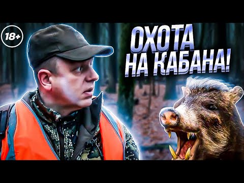 Видео: ПЕРЕСТРЕЛЯТЬ всех КАБАНОВ и СДАТЬ ХВОСТЫ