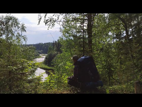 Видео: ОДИНОЧНЫЙ ПОХОД С НОЧЁВКОЙ В ГЛУШИ. Окунь на каждый заброс. Чем отпугнуть зверя в лесу?