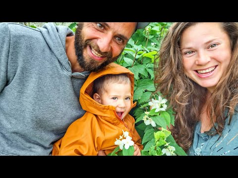 Видео: Как се прави БИЛКОВА палачинка и защо ни е нужен КОМПРЕСОР? ☼ Имение ХАЛО ☼