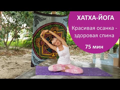 Видео: Хатха йога для начинающих. Гибкая и здоровая спина. Йога Хаб Клуб