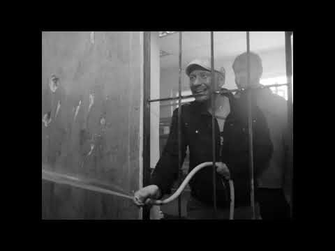Видео: трейлер несуществующий