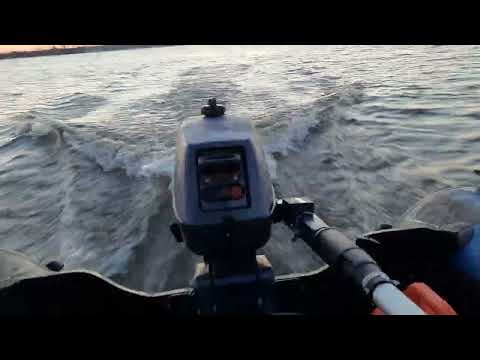 Видео: Sea Pro T3S, 3 л.с., двухтактный