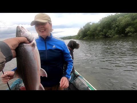 Видео: Рыбалка на Камчатке. Июль 2025