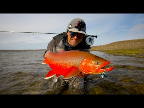 Видео: ОТКРЫТИЕ КАНАЛА!!! Неоновые рыбки в ПОЛЯРНОМ КРУГЕ!